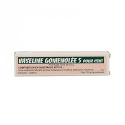 Vaseline Gomenolée 5% Tube 15g