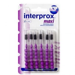 Interprox brossettes maxi x6