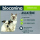 Biocanina ascatène 10 comprimés