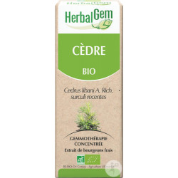Herbalgem Cèdre Bio 30ml