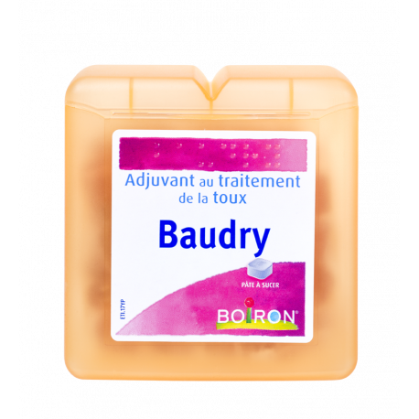 Boiron Baudry pâtes à sucer 70g