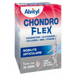 Govital chondro Flex 60 Comprimés 