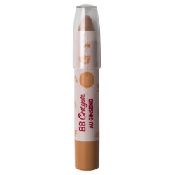 Erborian BB Crayon au Ginseng Stick de Teint & Soin 3 g Doré