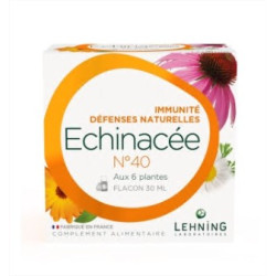 Lehning Echinacée N° 40 solution buvable 30 ml